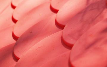 Brindley plastic roof costs